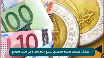 17 قرشاً.. خسائر الجنيه المصري تتسع أمام اليورو في أحدث التراجع